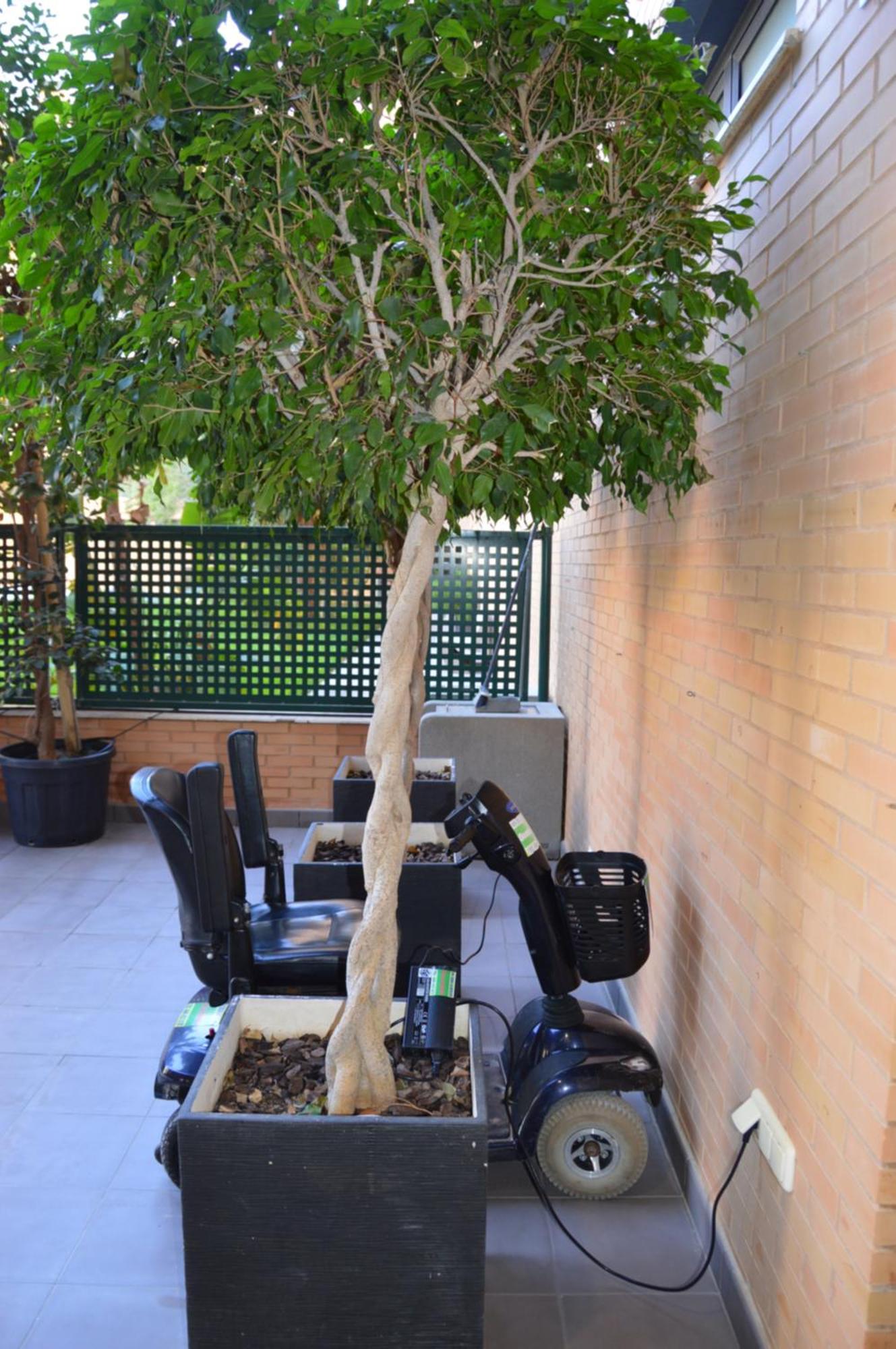 Albir Beach & Sea Apt El Albir Bagian luar foto